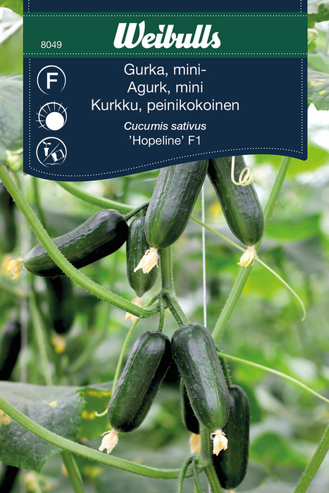 Miniagurk, 'Hopeline F1'